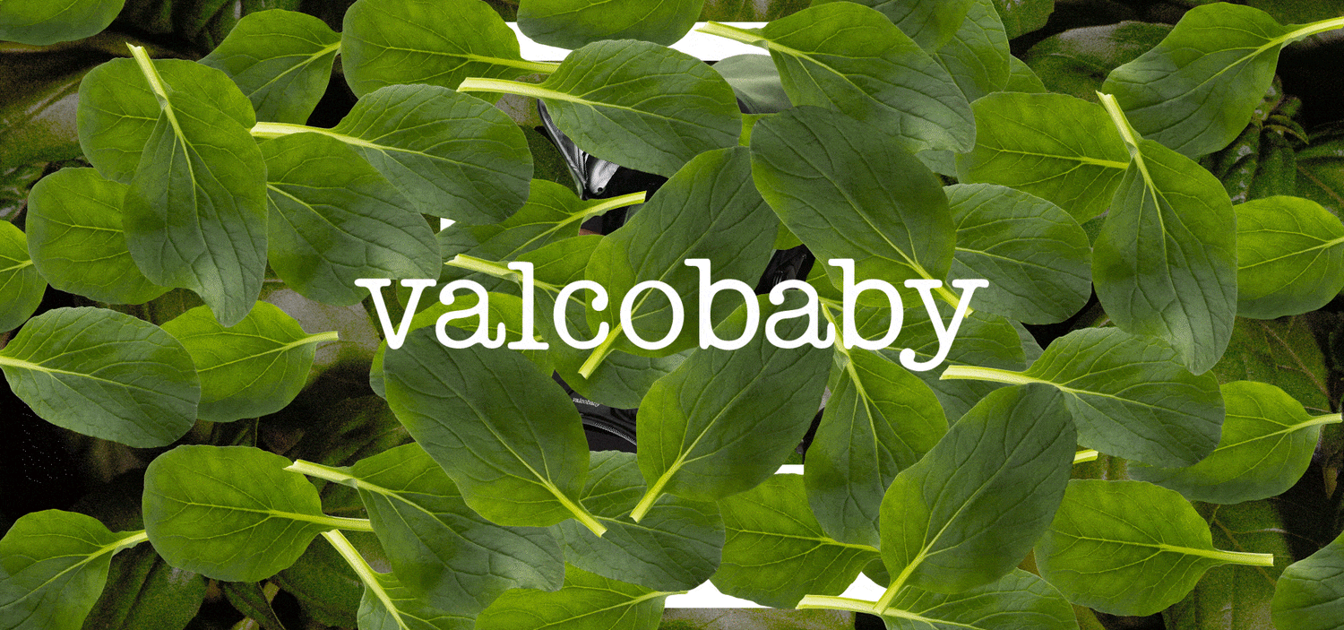 Valco Baby USA